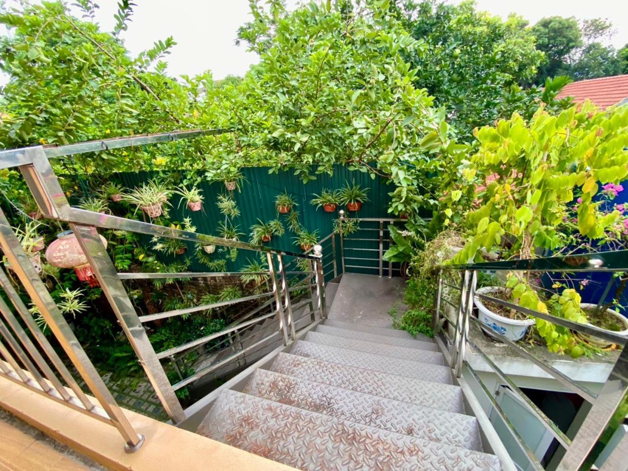 נין בין Green Space Homestay מראה חיצוני תמונה